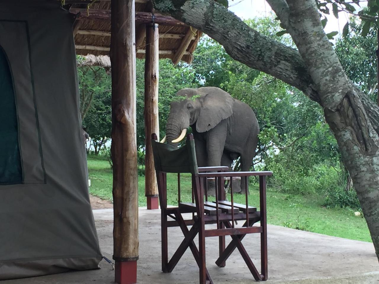 Queen Elizabeth Bush Lodge By Nature Lodges Ltd Katunguru エクステリア 写真